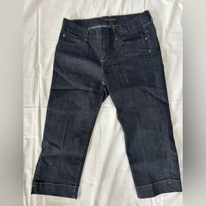 Banana Republic Women's Navy Ankle Jeans
